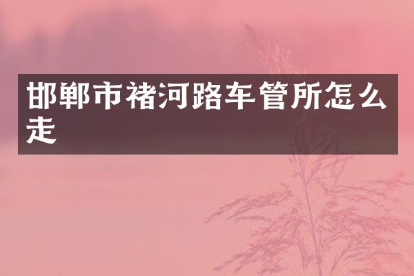 邯郸市褚河路车管所怎么走