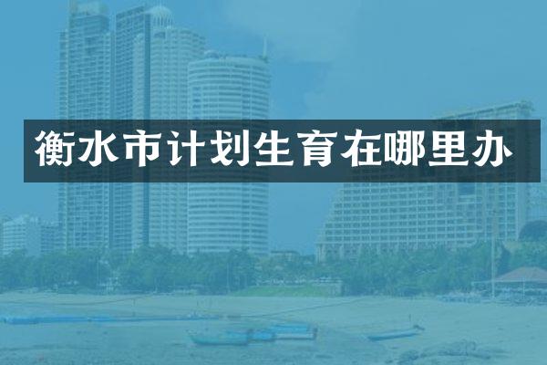 衡水市计划生育在哪里办