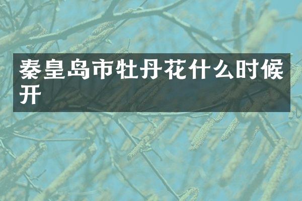 秦皇岛市牡丹花什么时候开