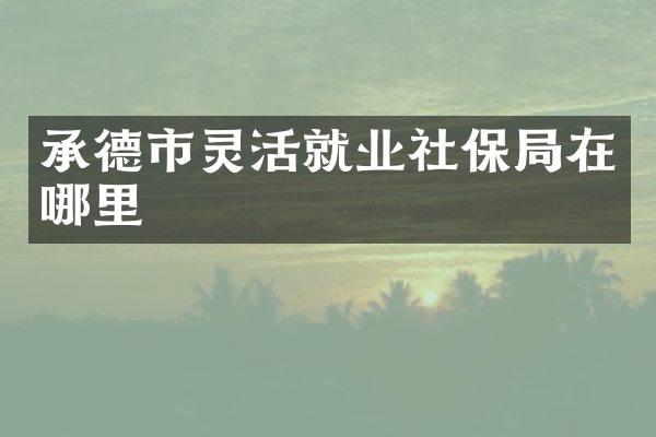 承德市灵活就业社保局在哪里