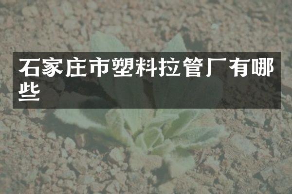 石家庄市塑料拉管厂有哪些