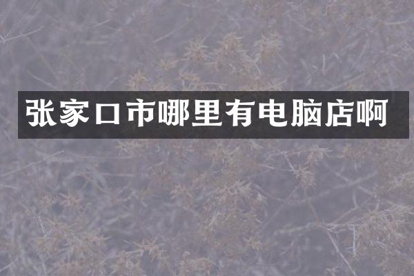 张家口市哪里有电脑店啊