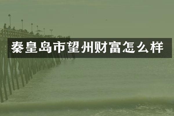 秦皇岛市望州财富怎么样