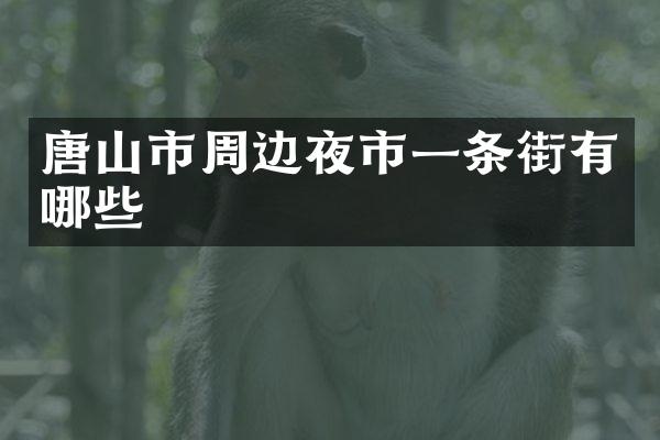 唐山市周边夜市一条街有哪些