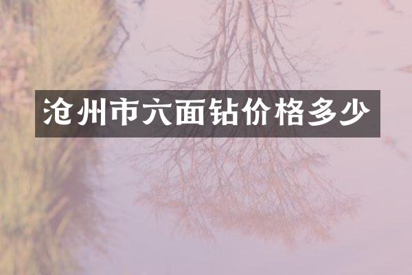 沧州市六面钻价格多少