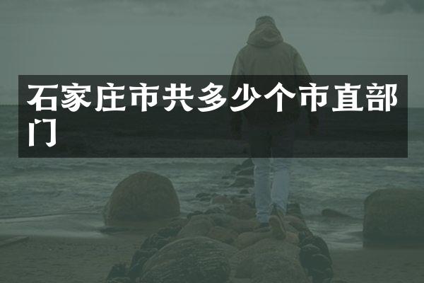 石家庄市共多少个市直部门