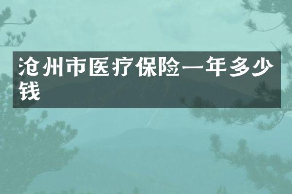 沧州市医疗保险一年多少钱