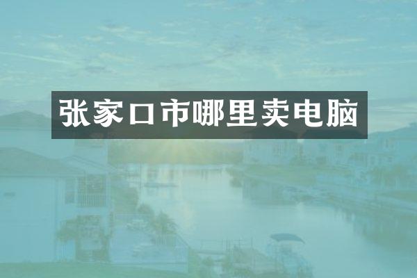 张家口市哪里卖电脑
