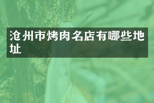 沧州市烤肉名店有哪些地址