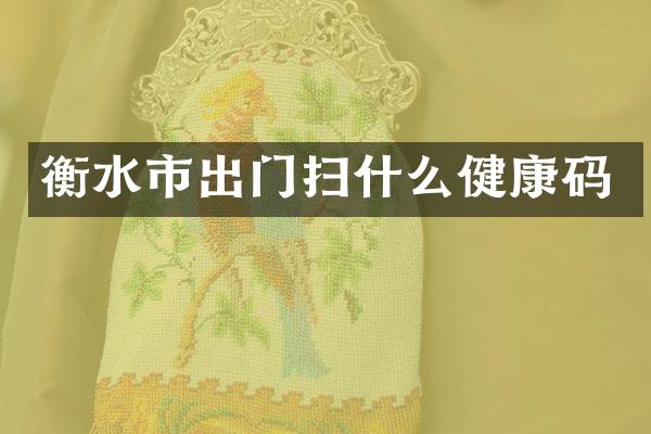 衡水市出门扫什么健康码