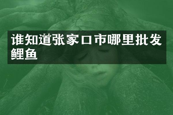 谁知道张家口市哪里批发鲤鱼