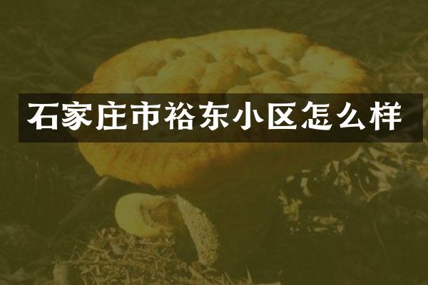 石家庄市裕东小区怎么样