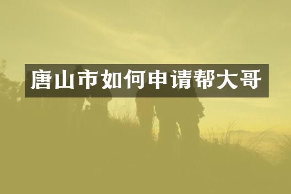 唐山市如何申请帮大哥