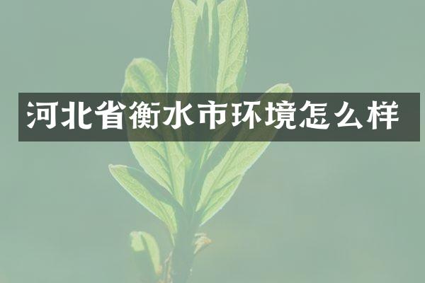 河北省衡水市环境怎么样