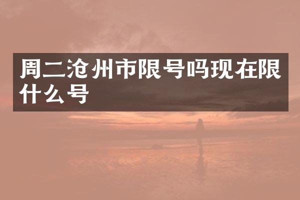 周二沧州市限号吗现在限什么号