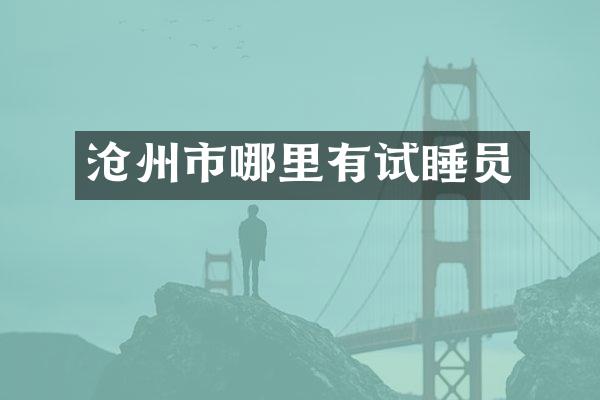沧州市哪里有试睡员