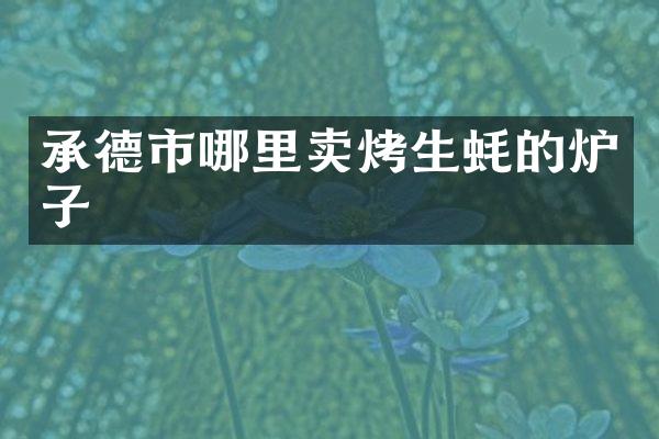 承德市哪里卖烤生蚝的炉子