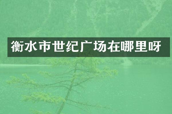 衡水市世纪广场在哪里呀