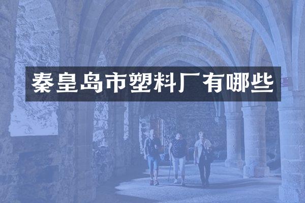 秦皇岛市塑料厂有哪些