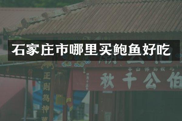 石家庄市哪里买鲍鱼好吃