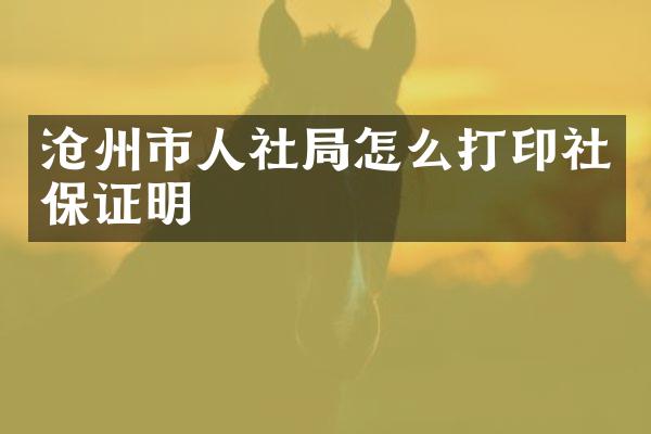 沧州市人社局怎么打印社保证明