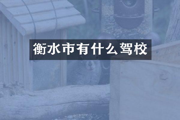 衡水市有什么驾校