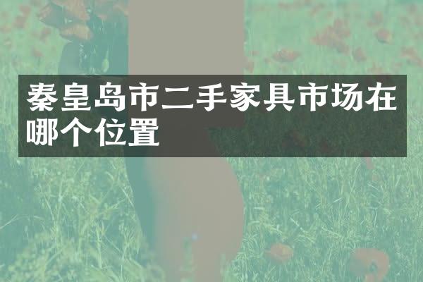 秦皇岛市二手家具市场在哪个位置