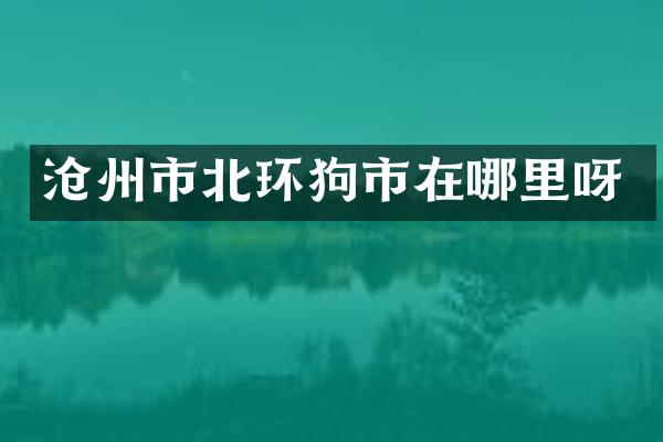 沧州市北环狗市在哪里呀