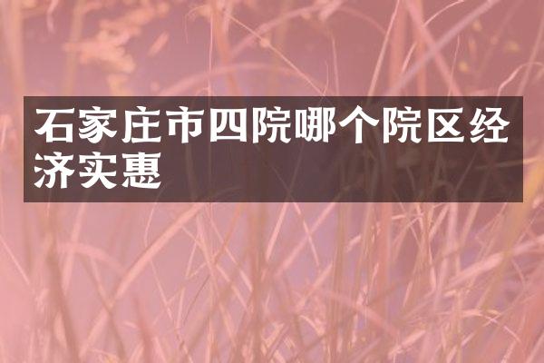 石家庄市四院哪个院区经济实惠