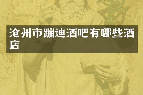 沧州市蹦迪酒吧有哪些酒店