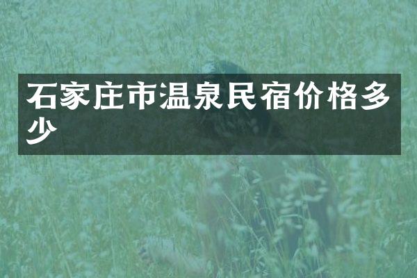 石家庄市温泉民宿价格多少