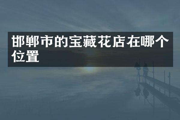 邯郸市的宝藏花店在哪个位置