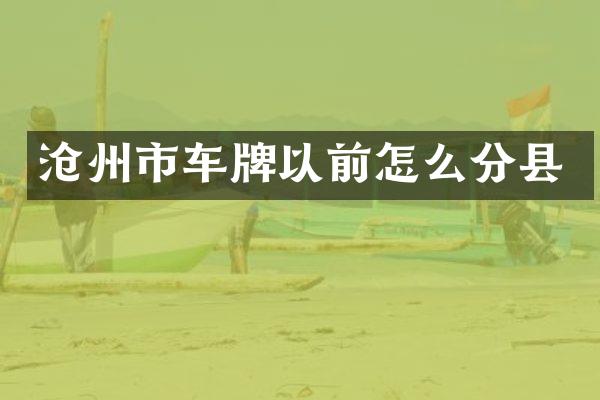沧州市车牌以前怎么分县