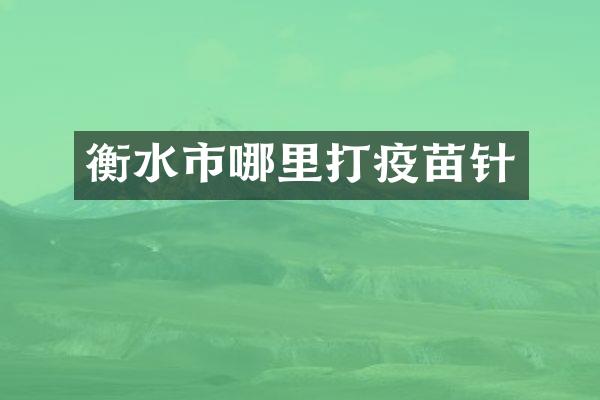 衡水市哪里打疫苗针