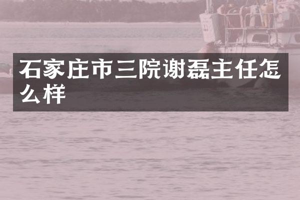 石家庄市三院谢磊主任怎么样