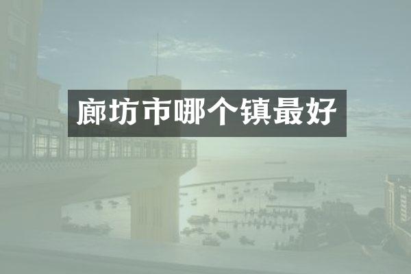 廊坊市哪个镇最好