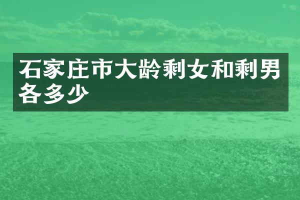 石家庄市大龄剩女和剩男各多少