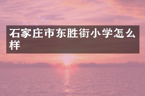 石家庄市东胜街小学怎么样