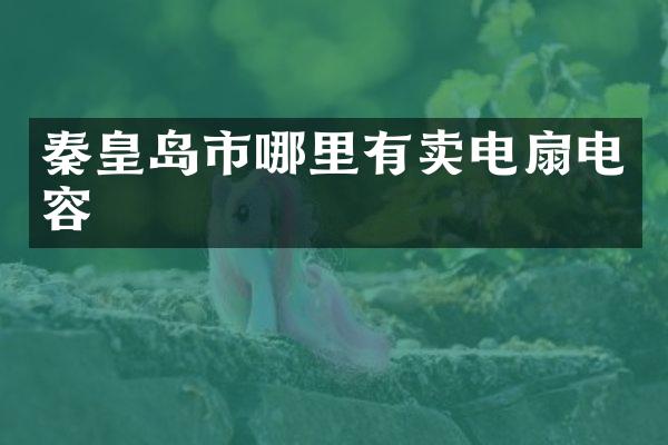 秦皇岛市哪里有卖电扇电容