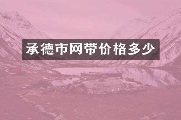 承德市网带价格多少