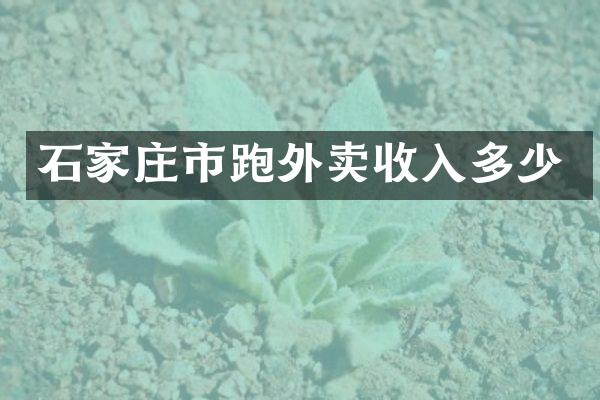 石家庄市跑外卖收入多少