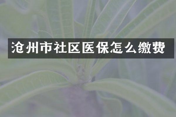 沧州市社区医保怎么缴费