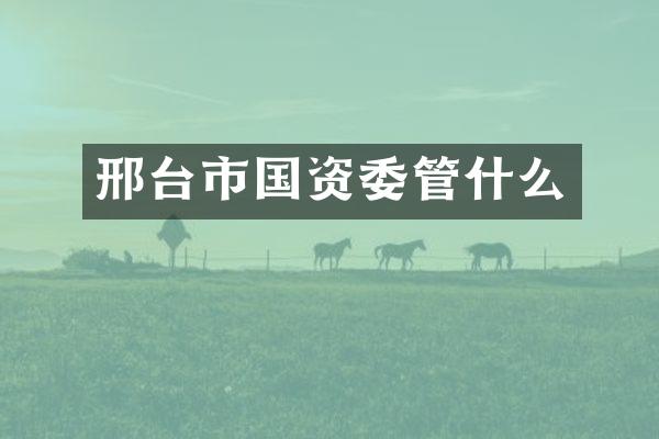 邢台市国资委管什么