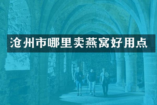 沧州市哪里卖燕窝好用点