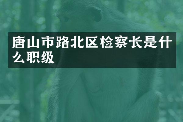 唐山市路北区检察长是什么职级