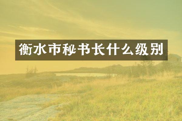 衡水市秘书长什么级别