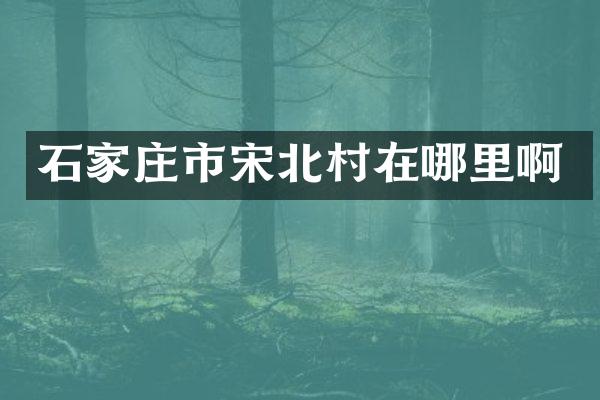 石家庄市宋北村在哪里啊