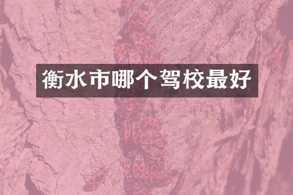 衡水市哪个驾校最好