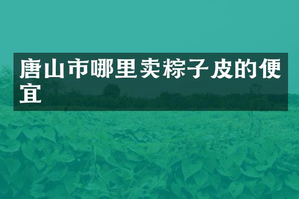 唐山市哪里卖粽子皮的便宜