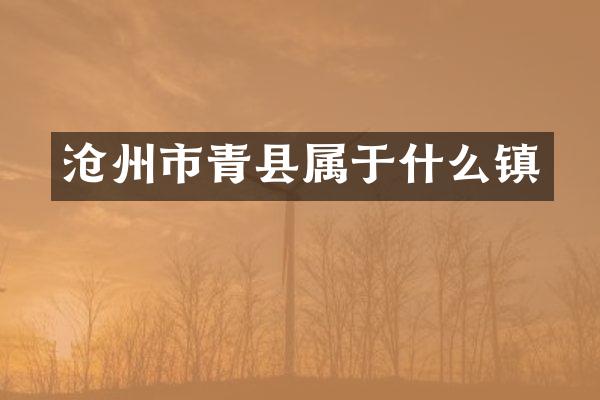 沧州市青县属于什么镇